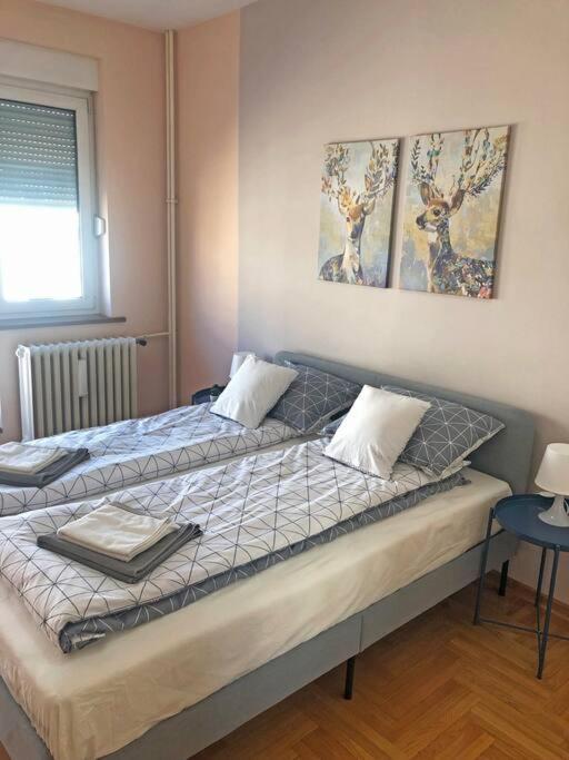 Quince Apartment-Free Parking-City Center Belgrado Esterno foto