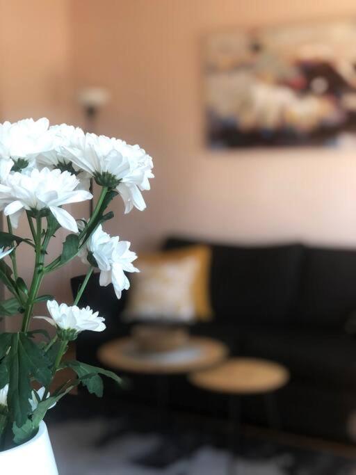Quince Apartment-Free Parking-City Center Belgrado Esterno foto